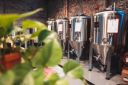 Chain_House_-_August_032C_2023-8.jpg